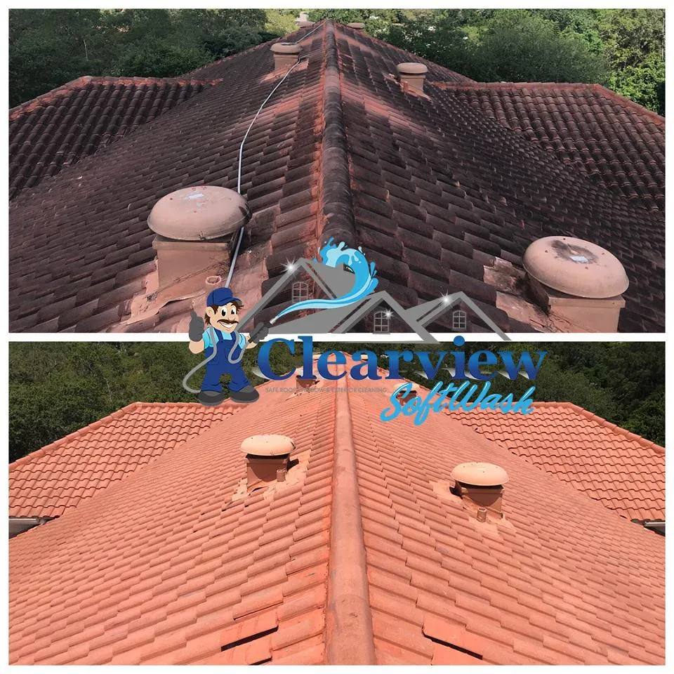 Clean roof showcasing the aesthetic and environmental benefits of soft washing